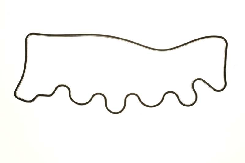 Zylinderkopfhaubendichtung Zylinderkopfhaubendichtung